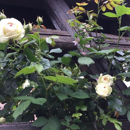 B&B Le Lodge Bourgheim Eksteriør bilde