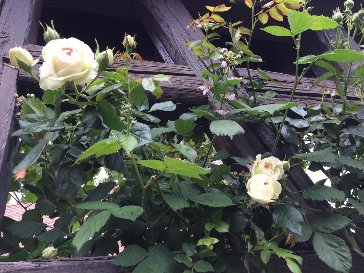 B&B Le Lodge Bourgheim Eksteriør bilde